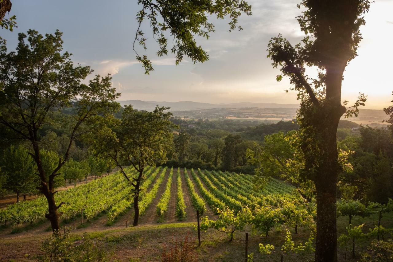Agriturismo Le Cerque Collazzone Luaran gambar