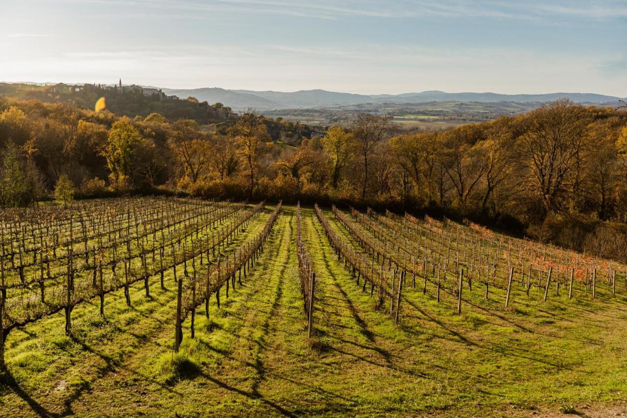 Agriturismo Le Cerque Collazzone Luaran gambar
