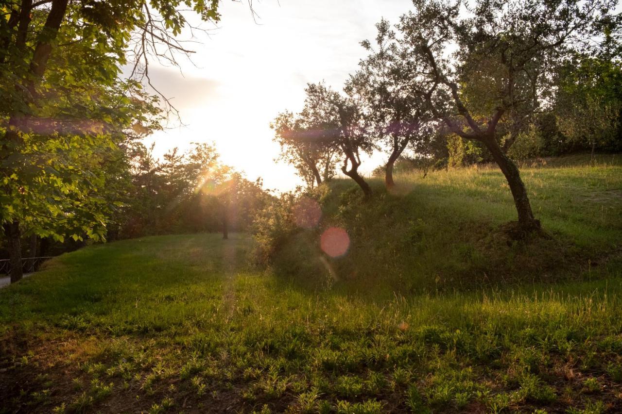 Agriturismo Le Cerque Collazzone Luaran gambar